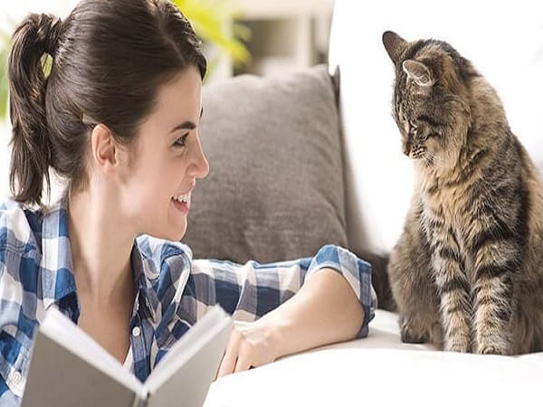 Gia chủ mạng Thổ nuôi thú cưng theo phong thủy như nào?