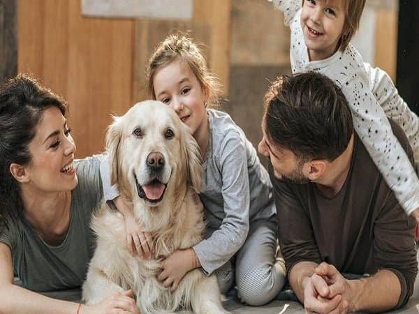 nuôi thú cưng theo phong thủy với nhà lớn, ít người