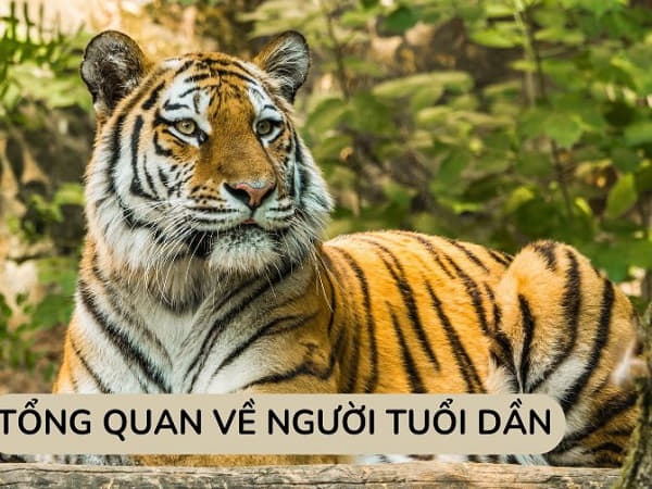 Tổng quan về người tuổi Dần và tầm quan trọng của hướng nhà