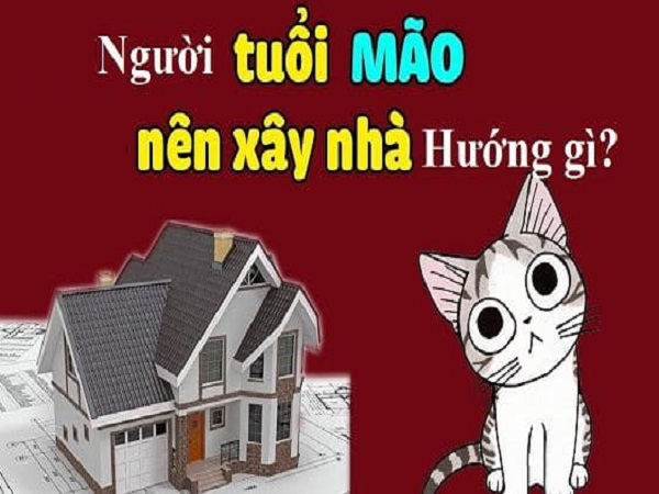 Tổng quan phong thủy tuổi Mão – Nền tảng để chọn hướng nhà chuẩn