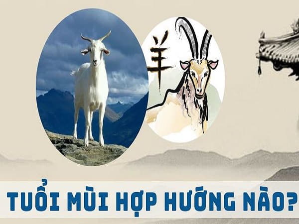 Hướng nhà tuổi Mùi nên chọn để đón tài lộc