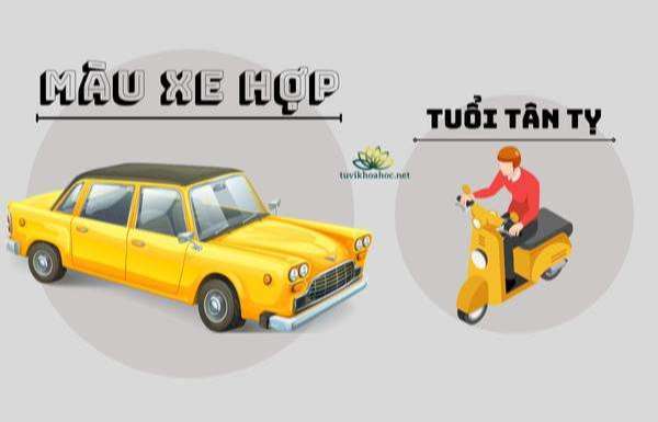 Màu xe tương sinh tuổi Tân Tỵ