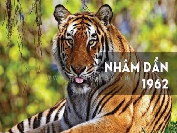 Tổng quan về tuổi Nhâm Dần nam mạng