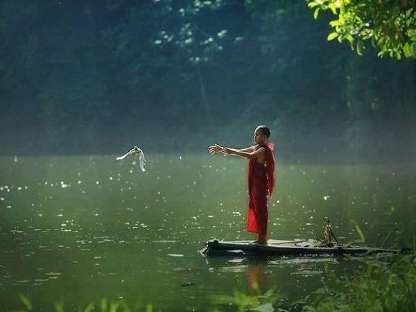 Ý nghĩa của việc phóng sinh trong đạo Phật