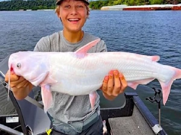 Mê thấy câu được cá trắng ngoài biển